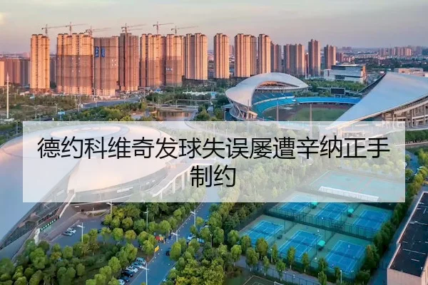 德约科维奇发球失误屡遭辛纳正手制约